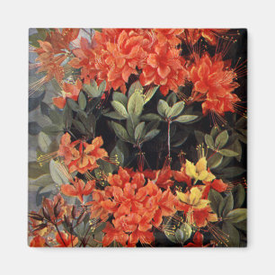Vintage Flame Azalee Rote Blumen Floraler Garten Magnet