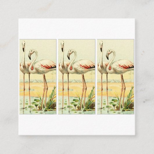 Vintage Flamingo Begleitkarte (Vorderseite)