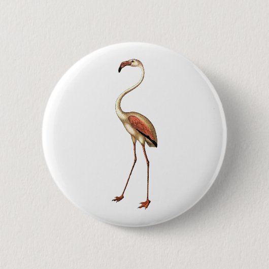 Vintage Flamingo Button (Vorderseite)