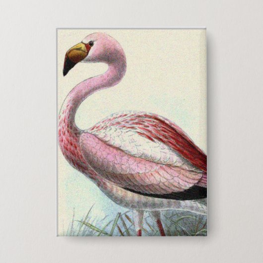 Vintage Flamingo Button (Vorderseite)
