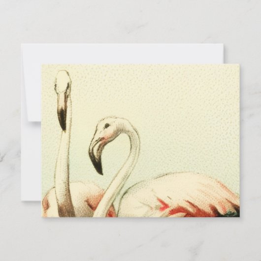 Vintage Flamingo Dankeskarte (Vorderseite)