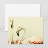 Vintage Flamingo Dankeskarte (Vorne/Hinten)