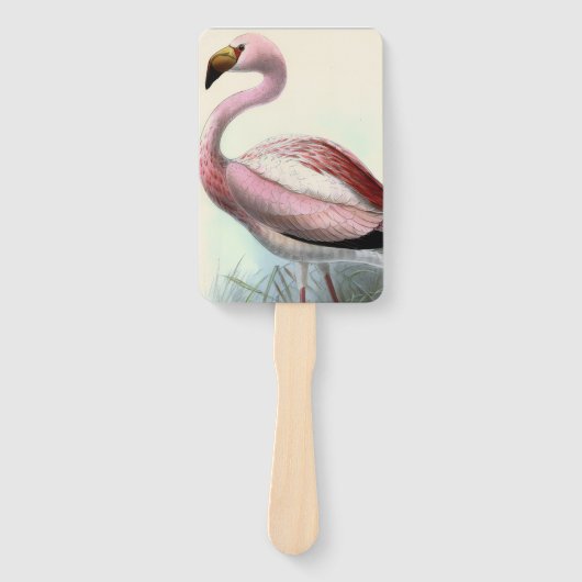 Vintage Flamingo Fächer (Vorderseite)