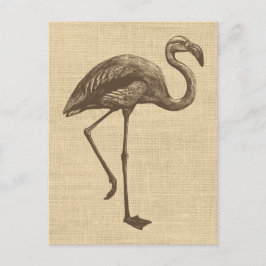 Vintage Flamingo-Illustration auf Burlap Postkarte