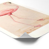 Vintage Flamingo-Illustration Poster (Ecke)
