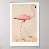 Vintage Flamingo-Illustration Poster (Vorne)