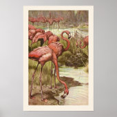 Vintage Flamingo-Illustration Poster (Vorne)