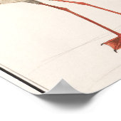 Vintage Flamingo-Illustration Poster (Ecke)