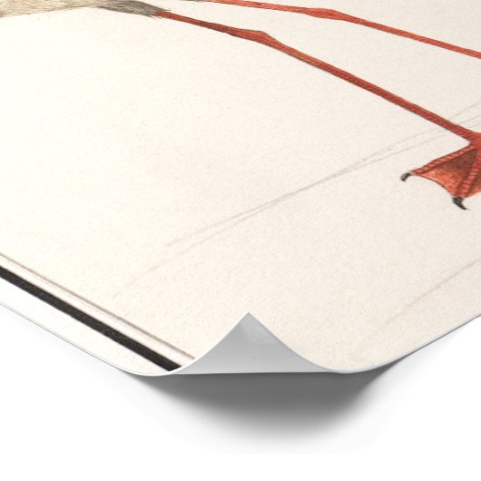 Vintage Flamingo-Illustration Poster (Ecke)