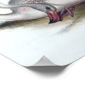 Vintage Flamingo-Illustration Poster (Ecke)