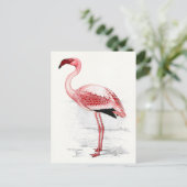 Vintage Flamingo-Illustration Postkarte (Stehend Vorderseite)