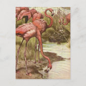 Vintage Flamingo-Illustration Postkarte (Vorderseite)