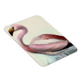 Vintage Flamingo Magnet (Rechte Seite)