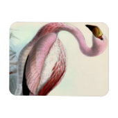 Vintage Flamingo Magnet (Horizontal)