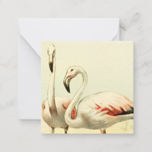 Vintage Flamingo Mitteilungskarte (Vorderseite)