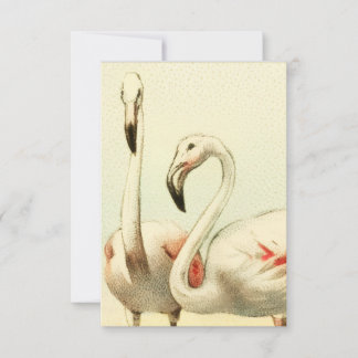 Vintage Flamingo Mitteilungskarte