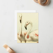 Vintage Flamingo Mitteilungskarte (Vorderseite/Rückseite Beispiel)