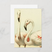 Vintage Flamingo Mitteilungskarte (Vorne/Hinten)