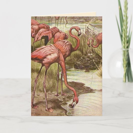 Vintage-Flamingo-Muttertags-Karte Karte (Vorderseite)