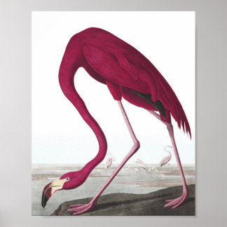 Vintage-Flamingo-Plakat Poster