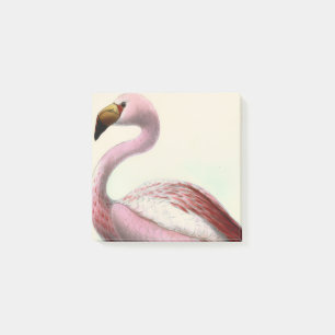 Vintage Flamingo Post-it Klebezettel