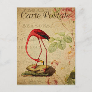 Vintage Flamingo Rosa Rosen Floral Französisch Postkarte