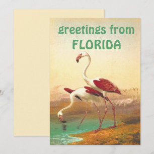 Vintage Flamingos-Grüße von Florida Travel Karte