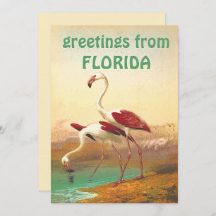 Vintage Flamingos-Grüße von Florida Travel Karte