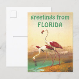 Vintage Flamingos-Grüße von Florida Travel Postkarte