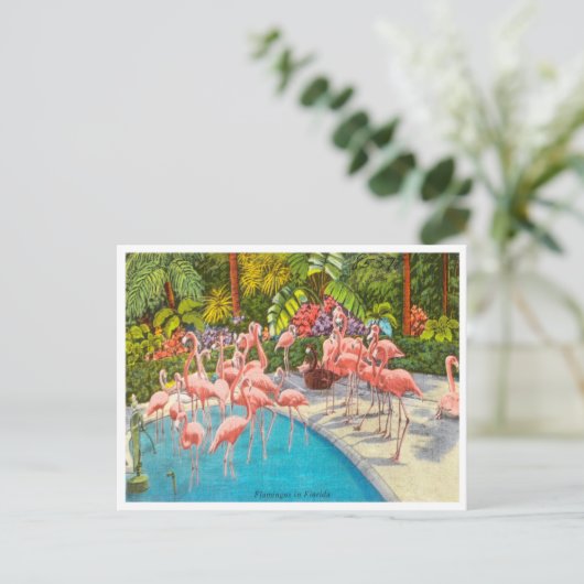 Vintage Flamingos in Florida Postkarte (Stehend Vorderseite)