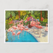 Vintage Flamingos in Florida Postkarte (Vorderseite)