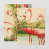 Vintage Flamingos Postkarte (Vorne/Hinten)