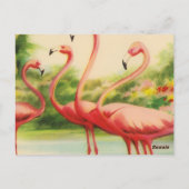 Vintage Flamingos Postkarte (Rückseite)