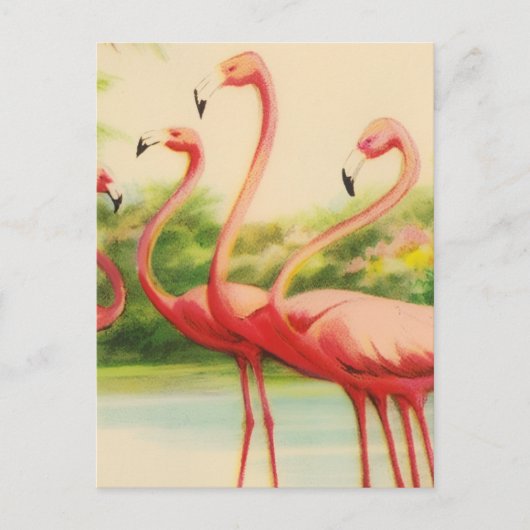 Vintage Flamingos Postkarte (Vorderseite)