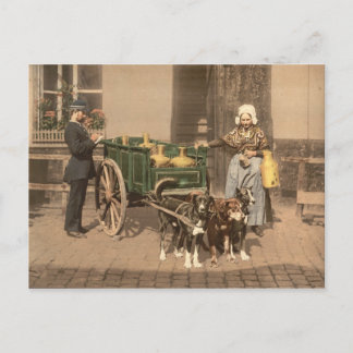 Vintage flämische Milchmädchen Postkarte