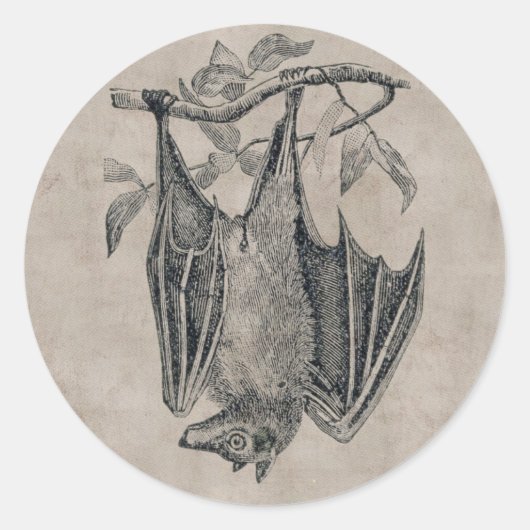 Vintage Fledermaus Aufkleber (Vorderseite)