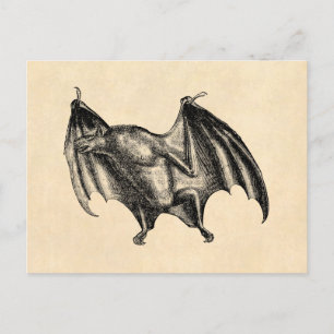 Vintage-Fledermaus-Illustration aus dem 19. Jahrhu Postkarte