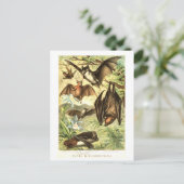 Vintage Fledermaus-Illustration Postkarte (Stehend Vorderseite)