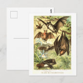 Vintage Fledermaus-Illustration Postkarte (Vorne/Hinten)