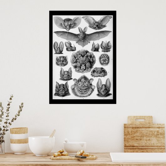 Vintage Fledermäuse von Ernest Haeckel Poster (Küche)