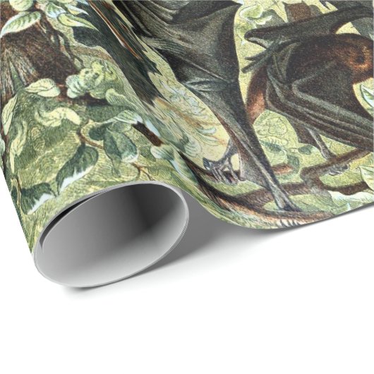 Vintage Fliegenfuchs-Fledermausillustrierung Geschenkpapier (Rolleneckpunkt)