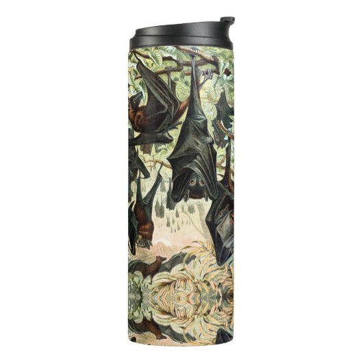 Vintage Fliegenfuchs-Fledermausillustrierung Thermosbecher (Nach links gedreht)