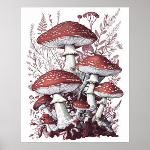 Vintage Fliegenpilz rote und weiße Pilze floral Poster