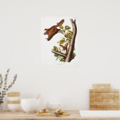 Vintage Fliegenschildkröte Poster (Küche)