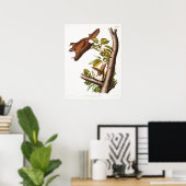 Vintage Fliegenschildkröte Poster (Heimbüro)