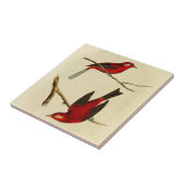 Vintage Fliegenschnäpper-Vogel Fliese (Seite)