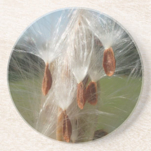 Vintage Flora und Fauna Milkweeds Floating.jpg Getränkeuntersetzer