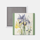 Vintage Floral Botanik, Garden Iris Blume Magnet (Vorderseite/Rückseite)