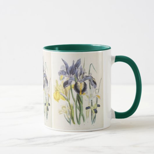 Vintage Floral Botanik, Garden Iris Blume Tasse (Rechts)