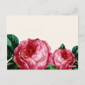 VINTAGE FLORAL DECOUPAGE TISCHNUMMER POST CARDS (Rückseite)